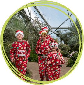 Festive outfits in the Med biome